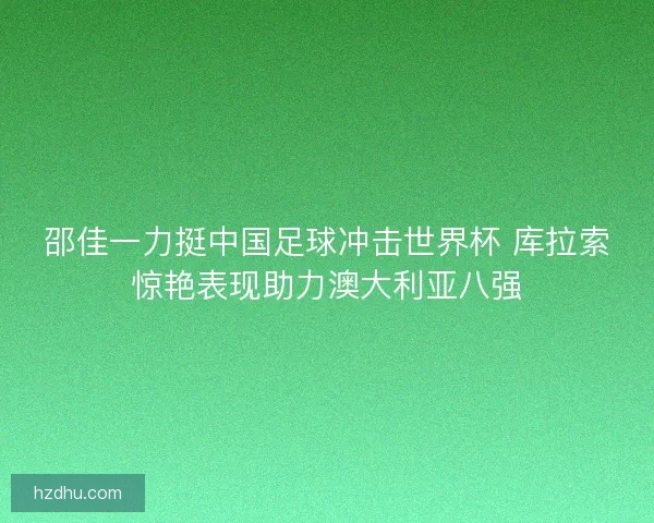 邵佳一力挺中国足球冲击世界杯 库拉索惊艳表现助力澳大利亚八强
